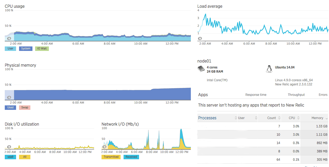 NewRelic Server View